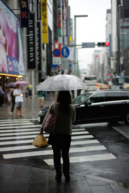 umbrella